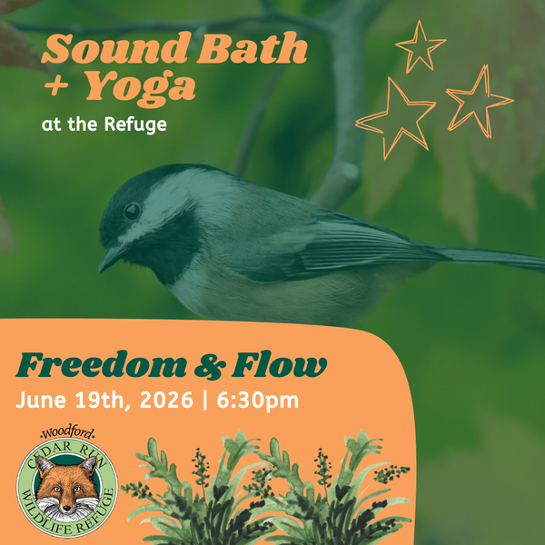 Yoga in Bloom At Cedar Run Wildlife Refuge