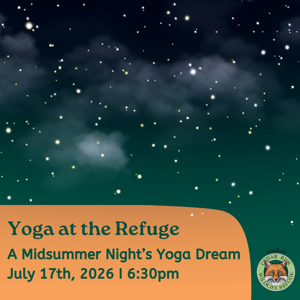 A Midsummer Night’s Yoga Dream At Cedar Run Wildlife Refuge