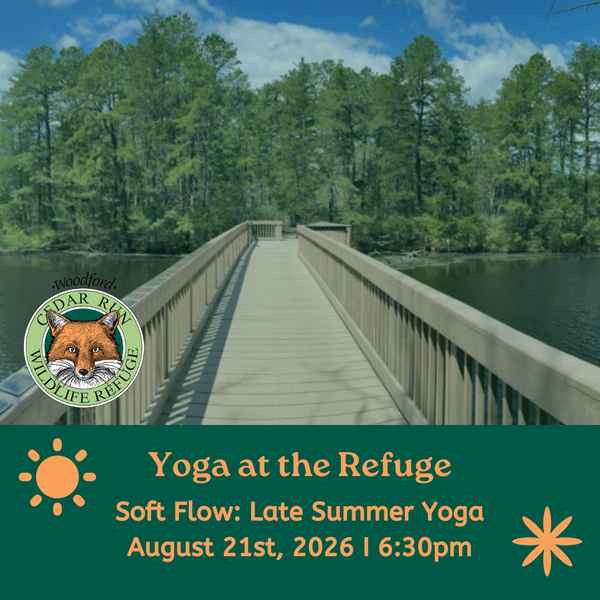 Slow Flow: Late Summer Yoga At Cedar Run Wildlife Refuge