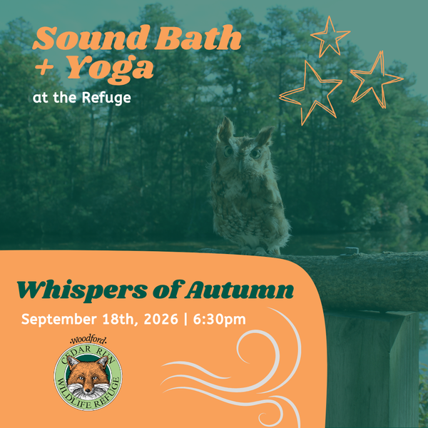 Whispers of Autumn: Yoga & Sound Bath At Cedar Run Wildlife Refuge